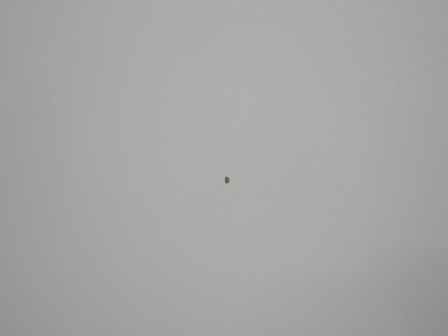 1998-2007 Lexus UZJ100L LX470 Front Hood Bonnet Shell Panel Crystal White