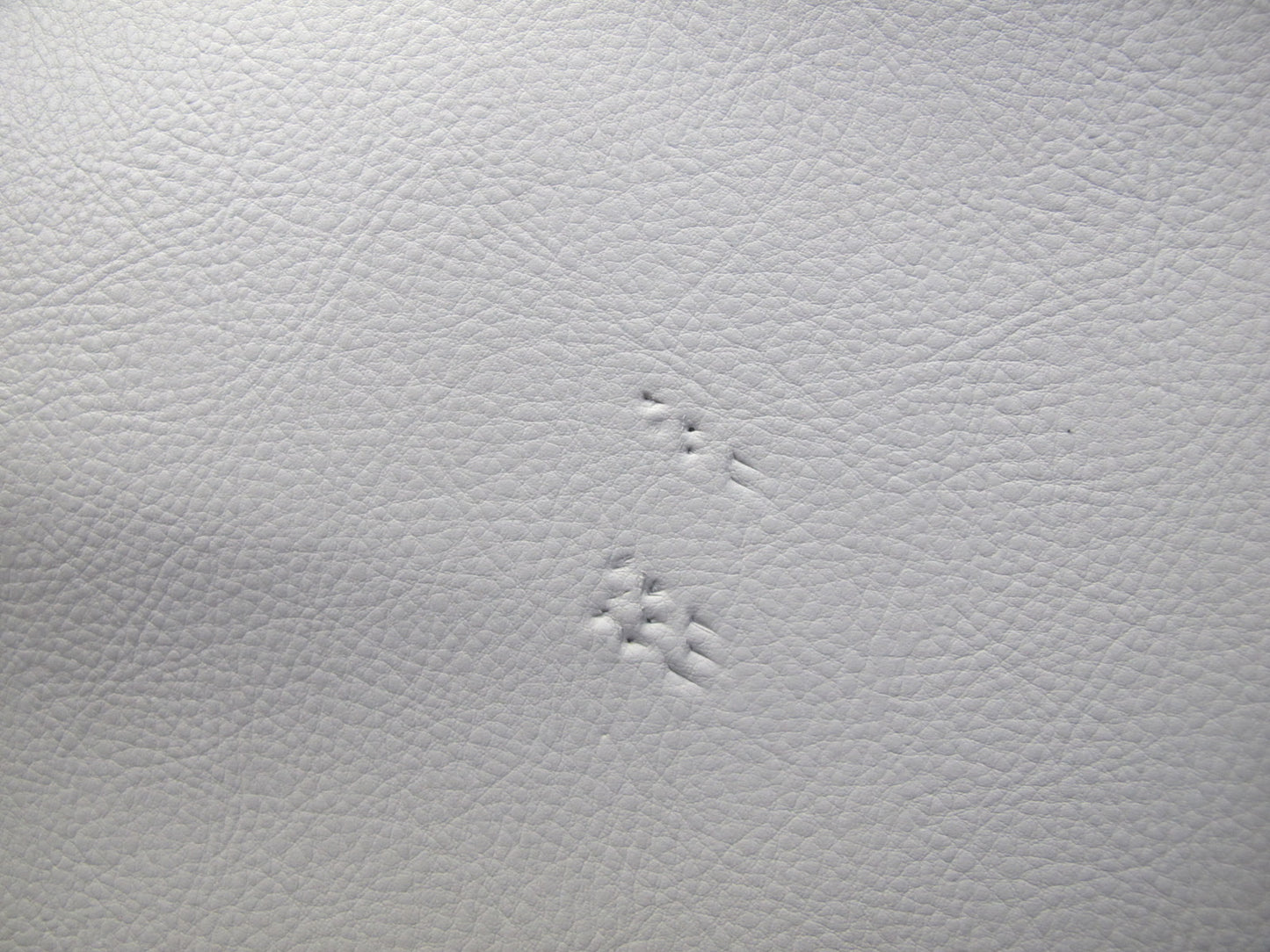 04-06 Lexus UCF30L LS430 Set of 2 Front Door Interior Trim Cover Panel Ash OEM