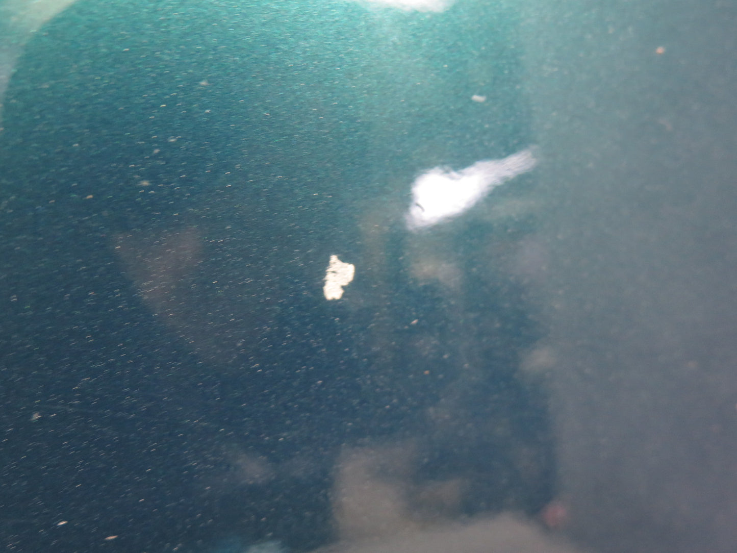 99-03 VW Eurovan T4 Front Left Fender Shell Panel Green Pearl OEM