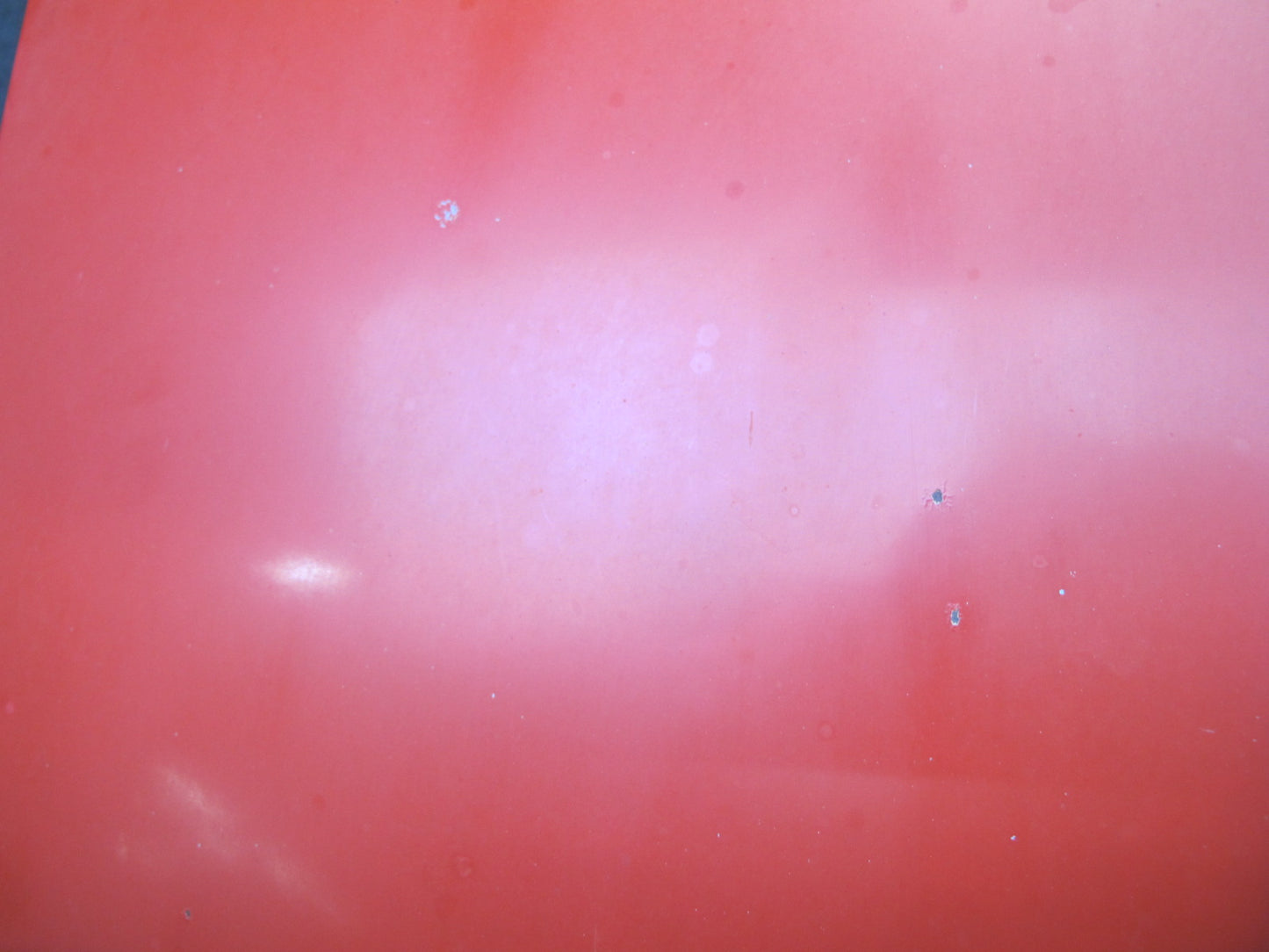 85-86 Nissan Z31 300ZX 2+0 NON Turbo Front Hood Bonnet Shell Panel HOT RED OEM