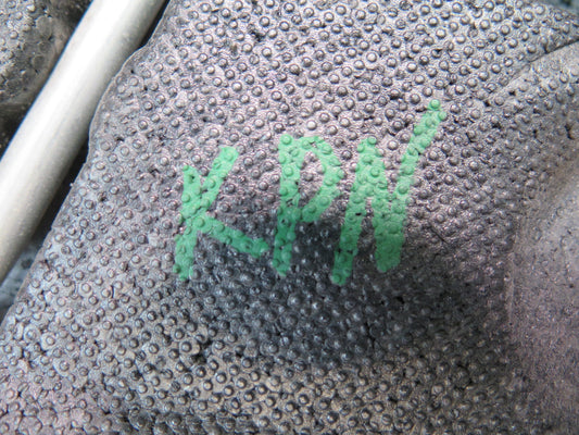 1999-2005 Porsche 911 996 Spare Tire Wheel Lift Jack Tool w Foam