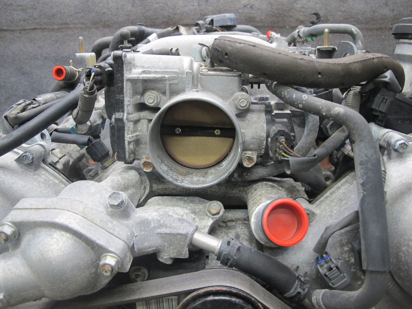 01-05 Lexus GS430 4.3L 3UZFE VIN L 5TH Digit Complete Engine Motor 71K Miles OEM