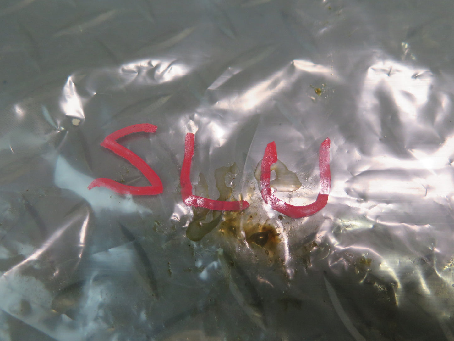 99-02 Mercedes R129 SL500 M113.961 Engine Oil Level Sensor 0041535328 OEM