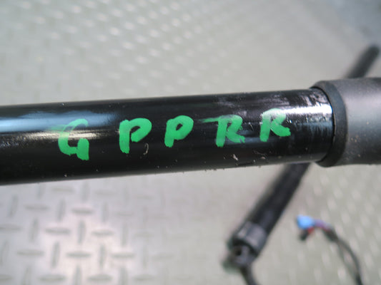 2010-2016 Porsche Panamera 970 Rear Trunk Lid Lift Shock Strut Support Set of 2