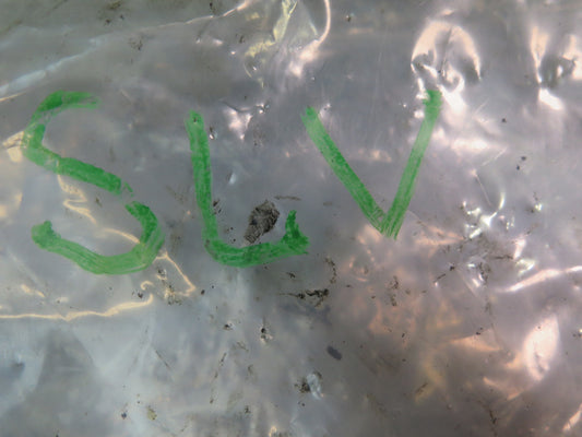 99-02 Mercedes R129 SL500 M113.961 Set of 8 Engine Ignition Coil OEM