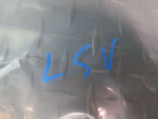 98-00 Lexus UCF20L LS400 Front & Rear Overhead Interior Light Lamp Set Ivory OEM