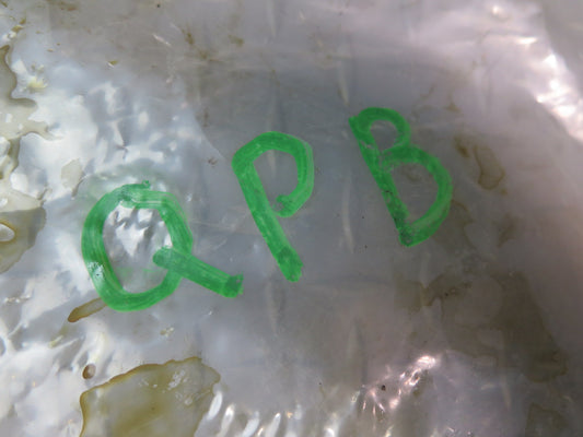 00-04 Porsche Boxster S 986 3.2L M96.21 Engine Cylinder Head Rocker Bolt Set