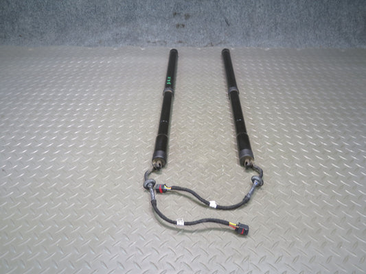 2012-2019 Range Rover Evoque L538 Rear Trunk Lid Shock Strut Support Set of 2