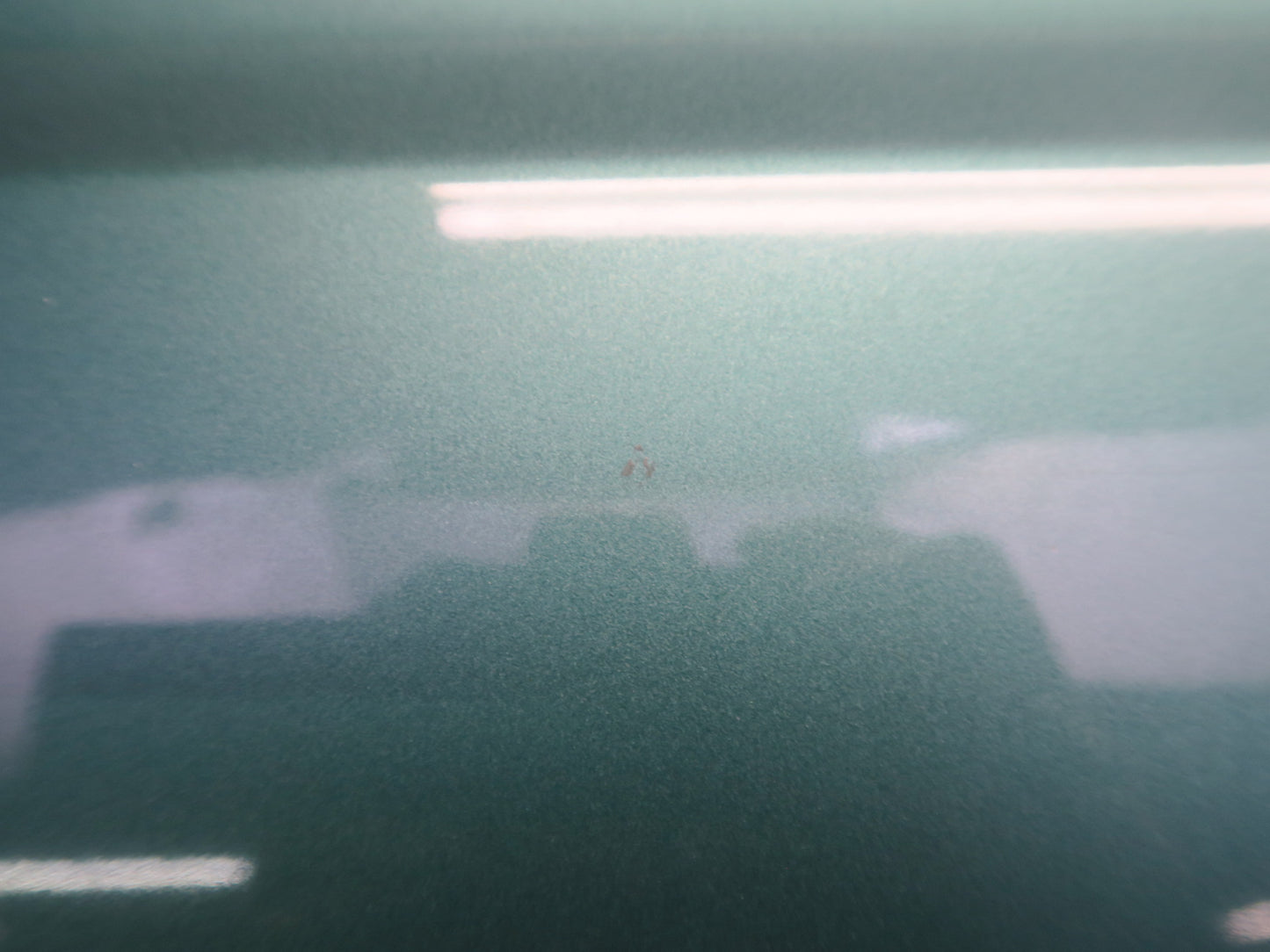 96-98 Nissan Stagea WGC34 Rear Left Door Shell Panel Emerald Green OEM