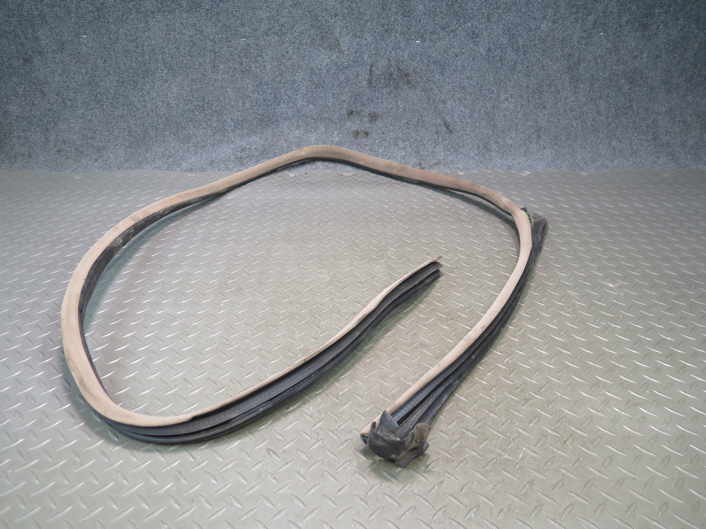 96-99 BMW E36 328iC Convertible Right Door Weatherstrip Rubber Seal OEM