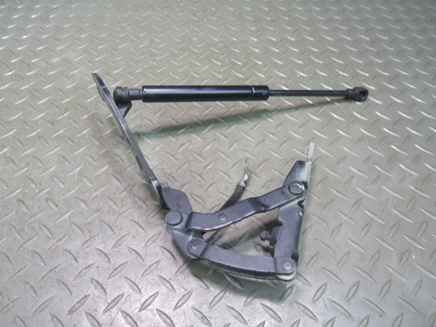 00-06 BMW E53 X5 Set of 2 Front Left & Right Hood Hinge w Shock OEM