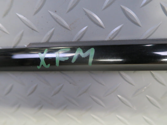 00-06 BMW E53 X5 Set of 2 Front & Rear Right Door Weatherstrip Trim Molding OEM