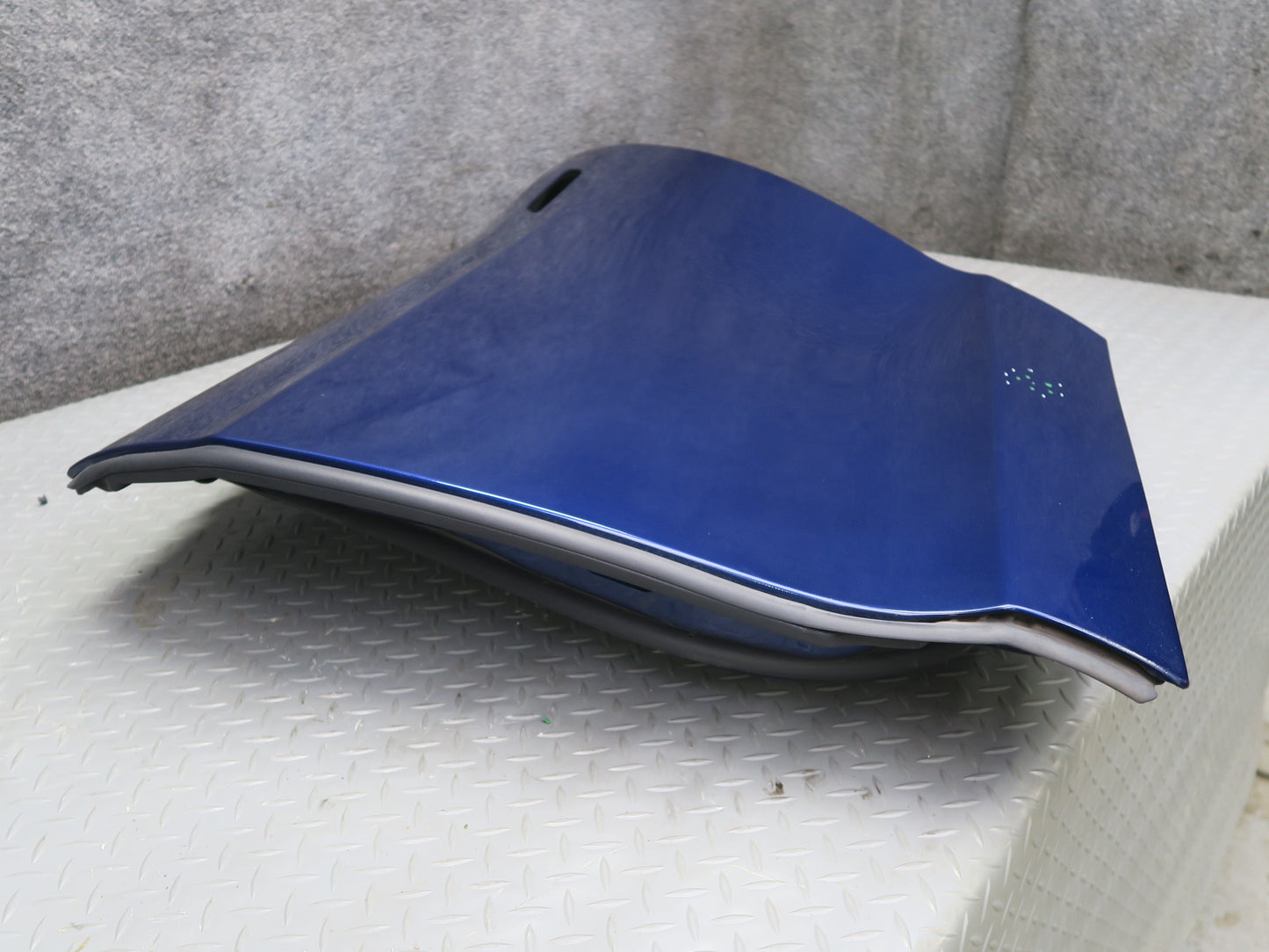 2016-2019 Tesla Model S 75D Rear Left Driver Side Door Shell Panel Blue