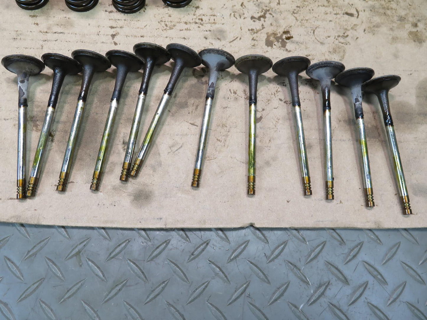 01-06 BMW E46 330ci M54 24pcs Engine Motor Outlet Exhaust Valve w Spring Set OEM