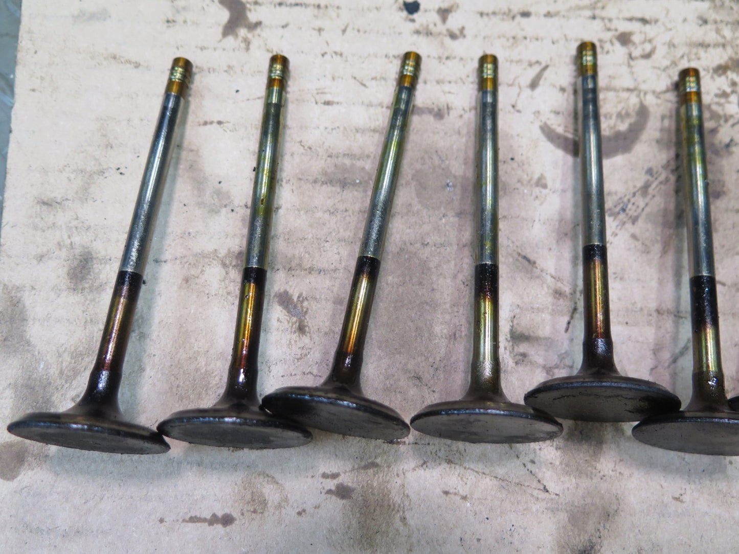 01-06 BMW E46 330ci M54 24pcs Engine Motor Inlet Valve w Spring Set OEM