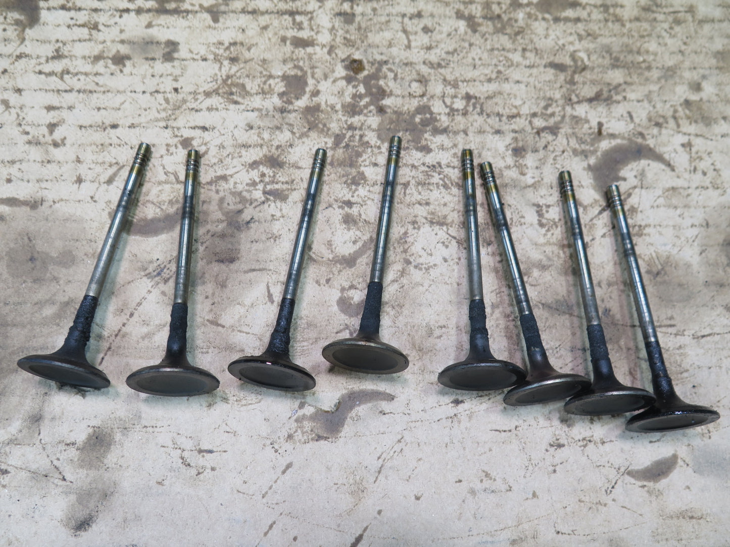 11-13 Mini Cooper S R55 R56 R57 R58 1.6L N18 Engine Intake Valve Spring Set OEM