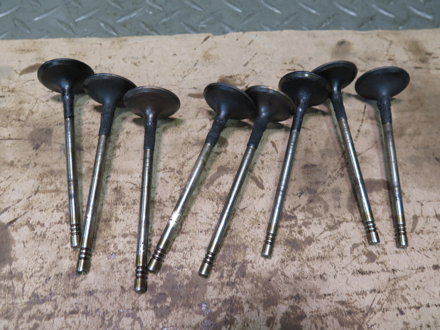 11-13 Mini Cooper S R55 R56 R57 R58 1.6L N18 Engine Intake Valve Spring Set OEM