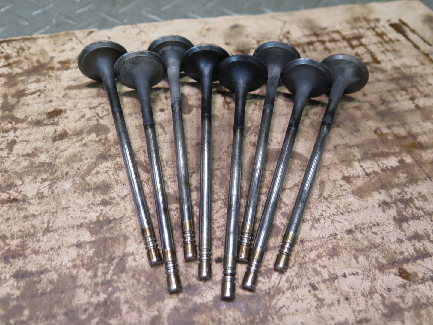 07-15 Mini S R55 R56 R57 R58 1.6L N18 Engine Outlet Exhaust Valve Spring Set OEM