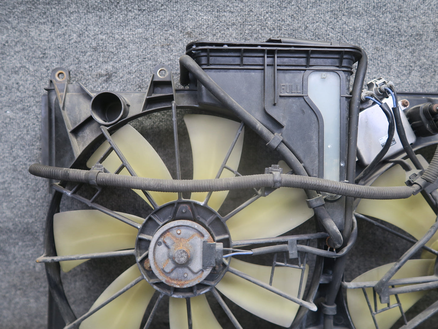 01-06 Lexus UCF30L LS430 Engine Radiator Cooling Motor Fan Shroud w Module OEM