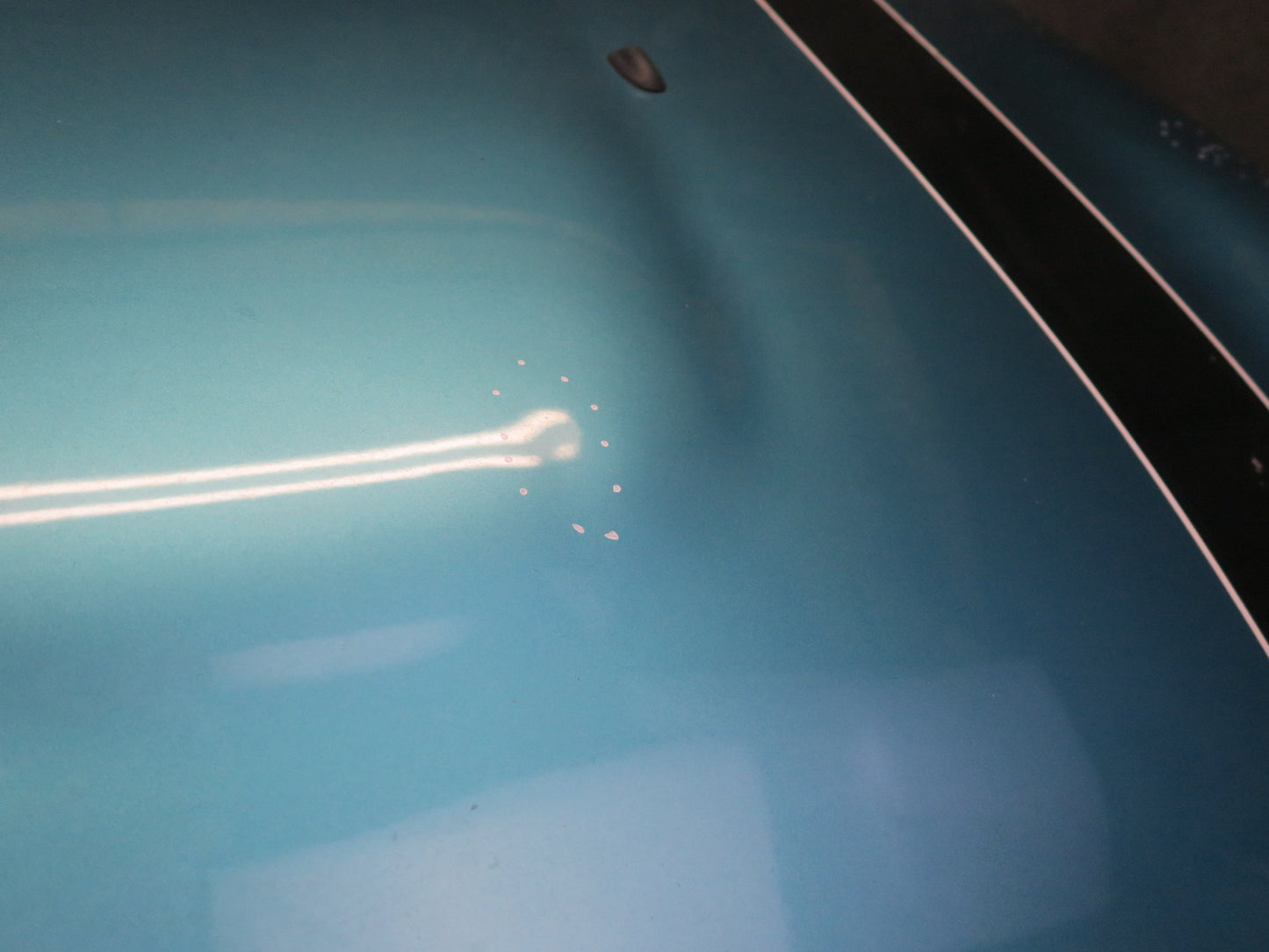 14-19 Mini Cooper S F55 F56 F57 Front Hood Bonnet Shell Panel Carribean Aqua OEM