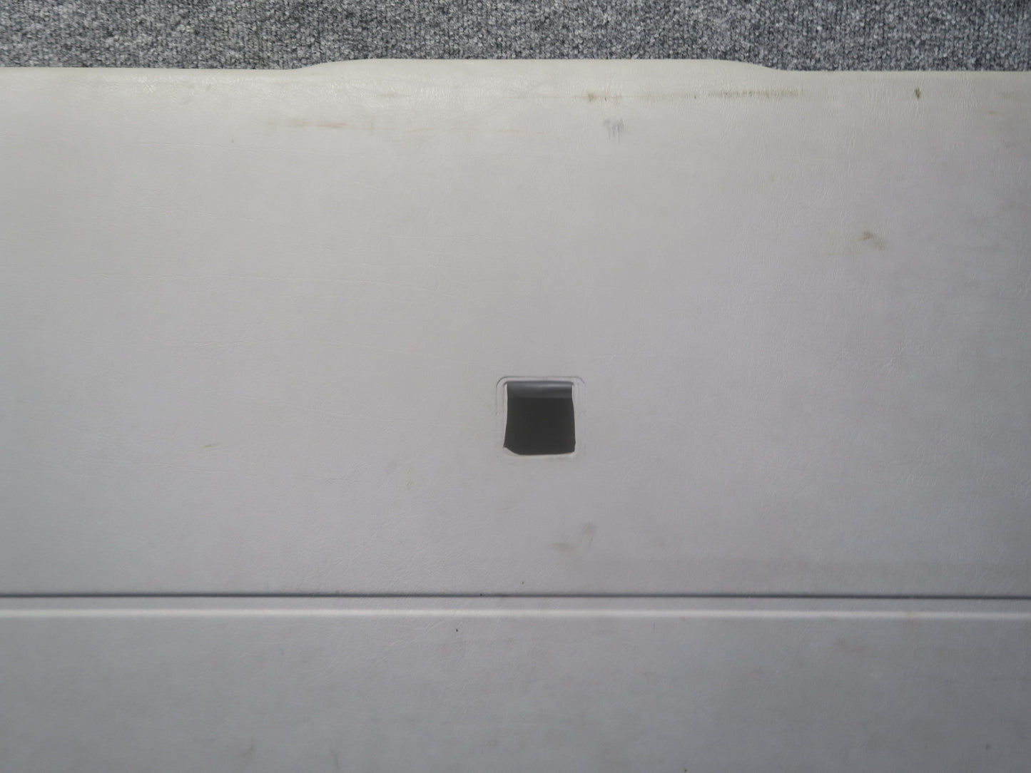 00-03 VW Eurovan T4 MV Rear Trunk Lid Tailgate Liftgate Trim Cover Panel OEM