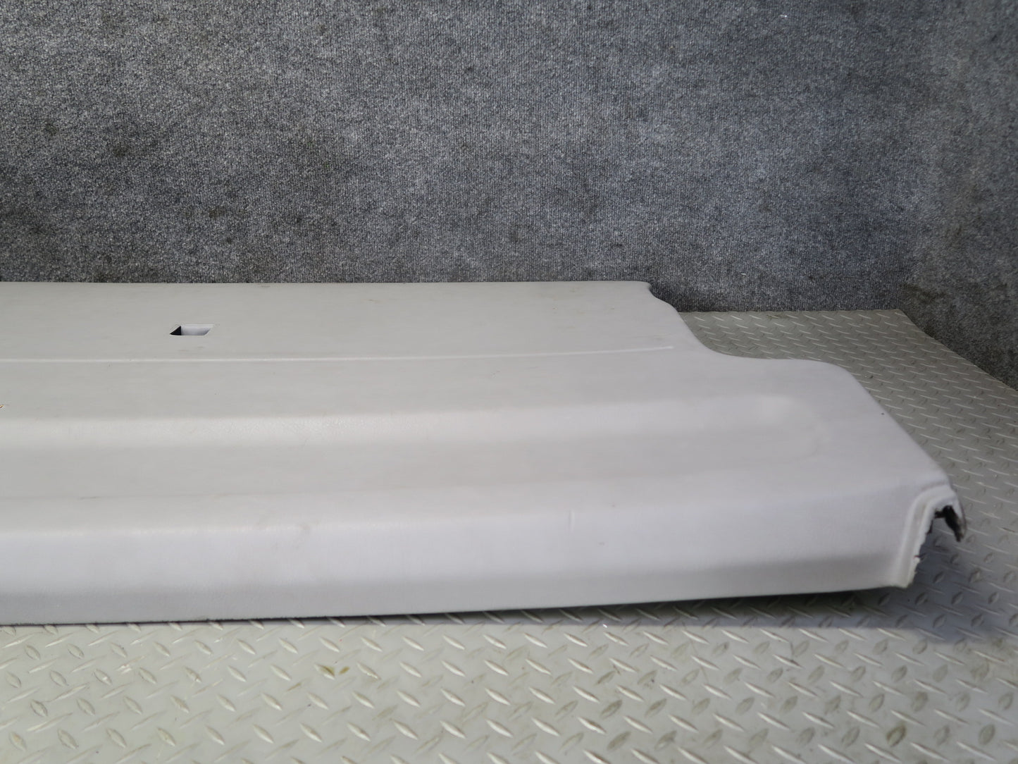 00-03 VW Eurovan T4 MV Rear Trunk Lid Tailgate Liftgate Trim Cover Panel OEM