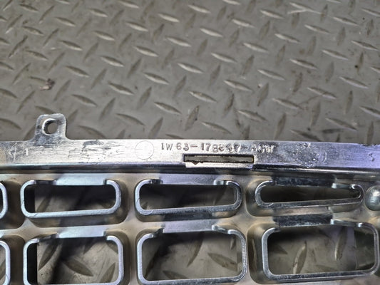 02-05 Ford Thunderbird Front Bumper Grille Trim Cover 1W63-17B947-AGW OEM