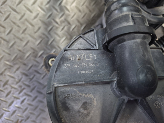 03-10 Bentley Continental GT Dual Secondary Air Injection Smog Pump 3W0131083B