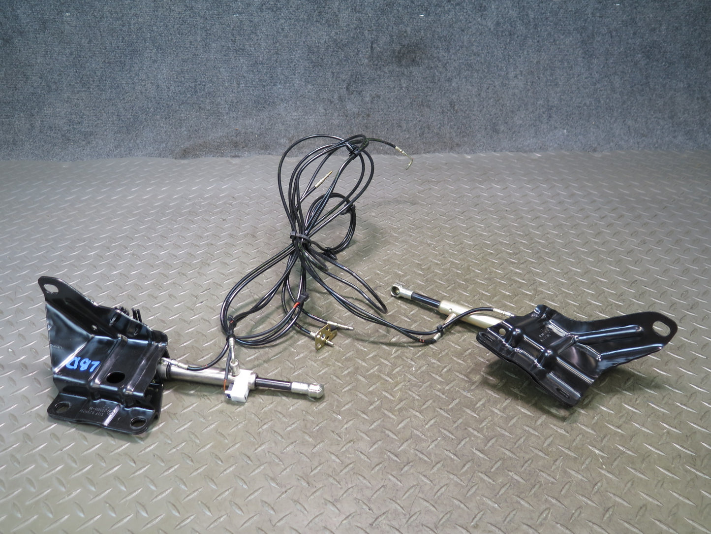 01-06 BMW E46 330Ci Conv Rear Left & Right TOP Hydraulic Cylinder w Pipe Set OEM