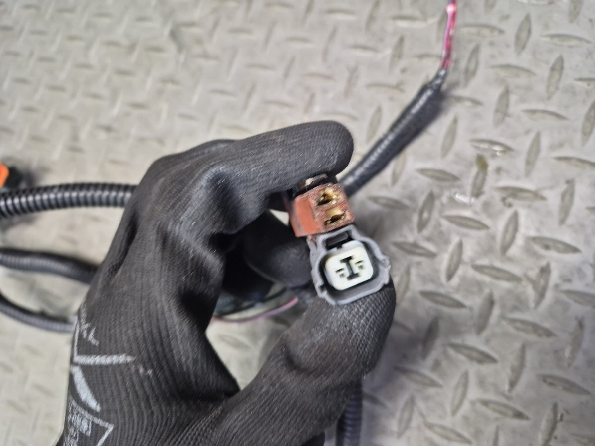 2002 Honda S2000 2.0L F20C RWD M/T Engine Wire Wiring Harness OEM