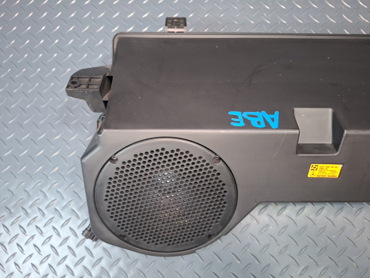 2006-2012 Mercedes W251 R-class Harman Kardon Subwoofer Speaker Box 2518200002
