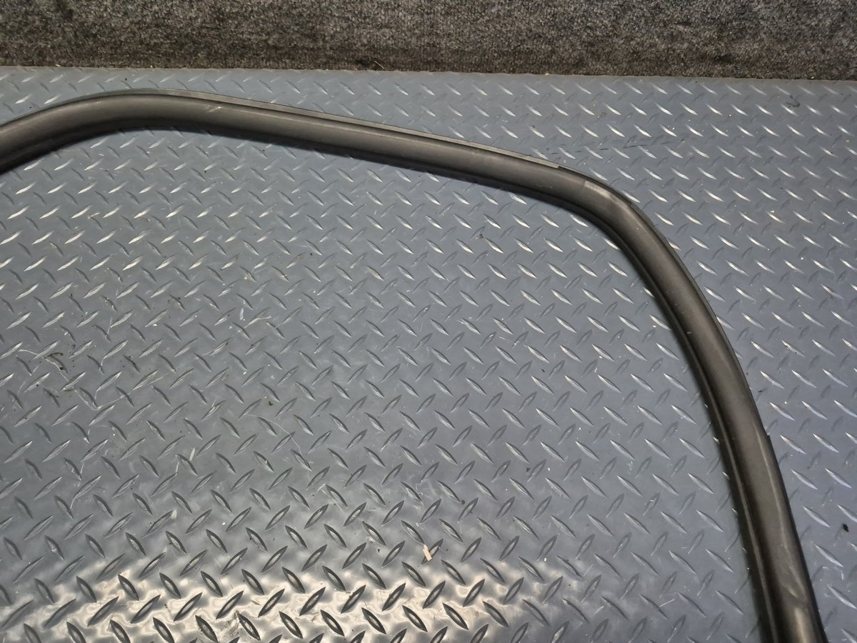 02-05 Ford Thunderbird Set of 2 Left & Right Door Weatherstrip Seal OEM