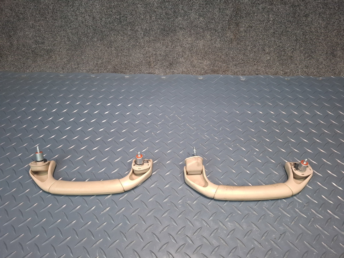 1998-2007 Lexus UZJ100L LX470 Interior Overhead Grab Handle Hook Set of 10
