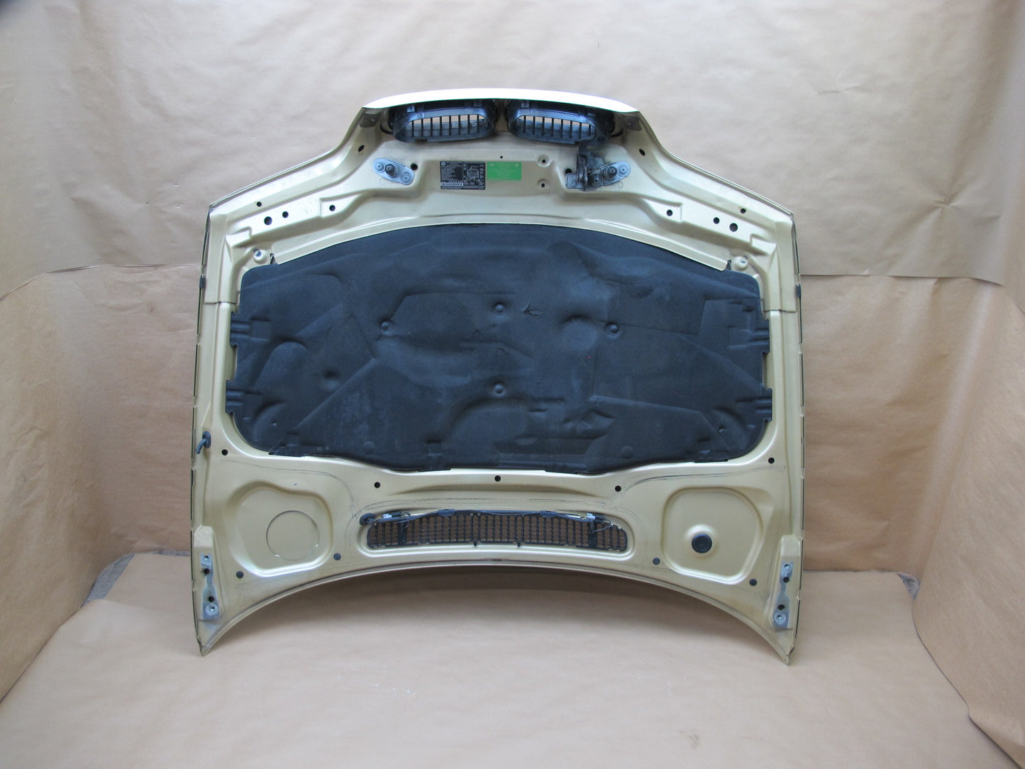 01-03 BMW E46 COUPE CONVERTIBLE FRONT HOOD BONNET SHELL COVER PANEL OEM